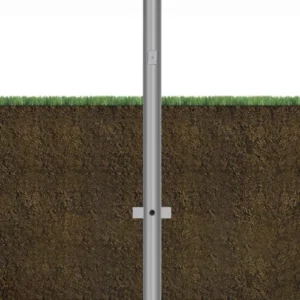 BF-ERNTA