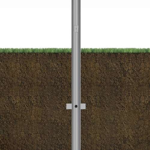 BF-ERNTA